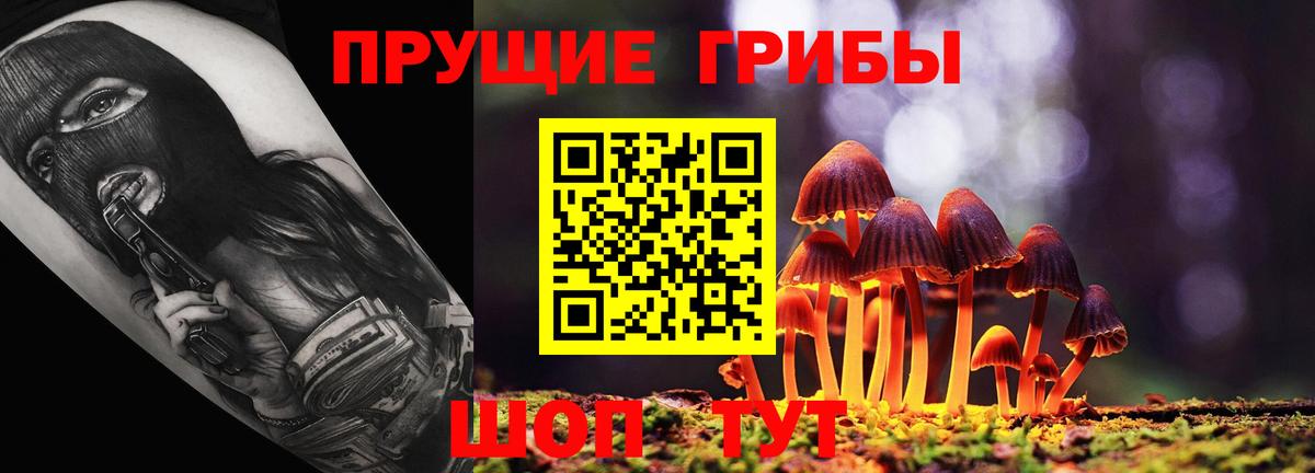 Ртищево  Галлюциногенные грибы GOLDEN TEACHER  Псилоцибиновые грибы мицелий  Вход с VPN 